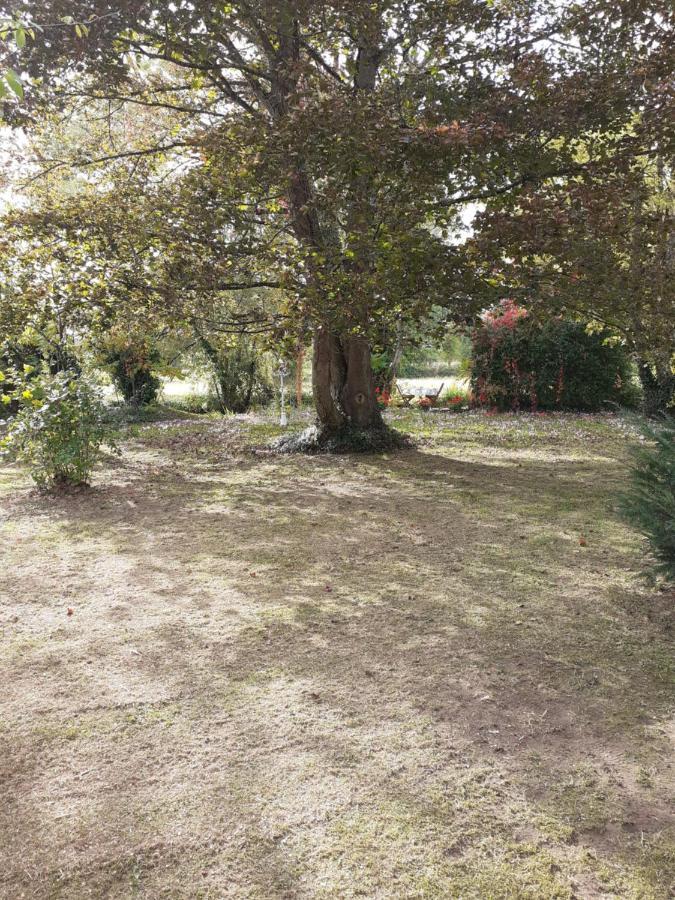 Gite " Jardin Peyrona" Visite Zoo Beauval Et Chateaux De Loire Beaulieu-lès-Loches Exterior foto