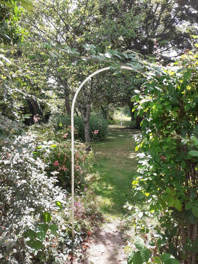 Gite " Jardin Peyrona" Visite Zoo Beauval Et Chateaux De Loire Beaulieu-lès-Loches Exterior foto