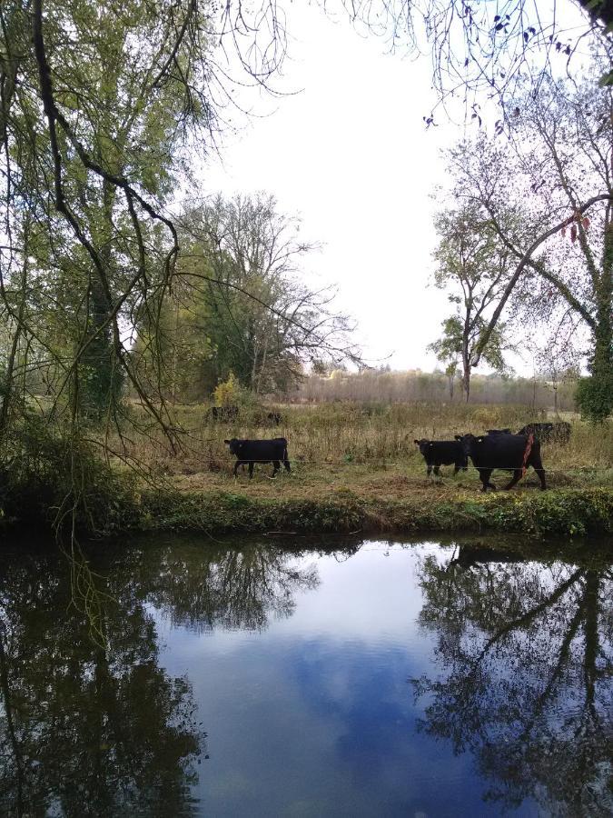 Gite " Jardin Peyrona" Visite Zoo Beauval Et Chateaux De Loire Beaulieu-lès-Loches Exterior foto